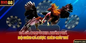 Đá Gà Campuchia - Khám Phá Bộ Môn Cá Cược Siêu Giải Trí